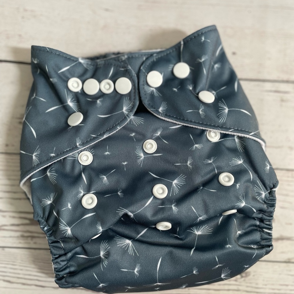 Cloth Diaper with Bamboo Inserts